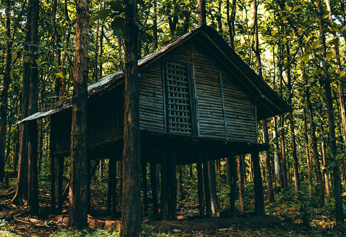 Treehouse